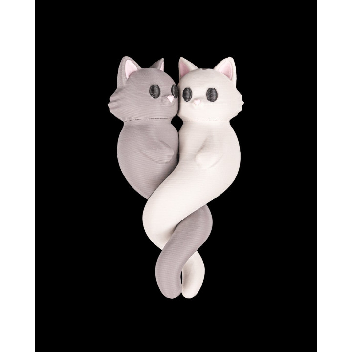 Pendentifs Chats Magnétiques "Feline Match" – Duo Inséparables