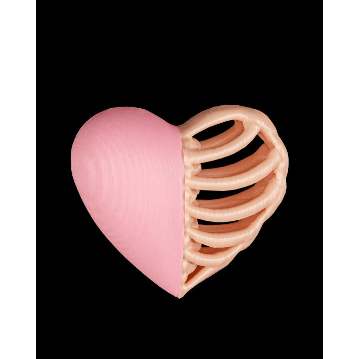 Pendentif Heart & Hollow – Cœur & Os, Duo Magnétique Articulé