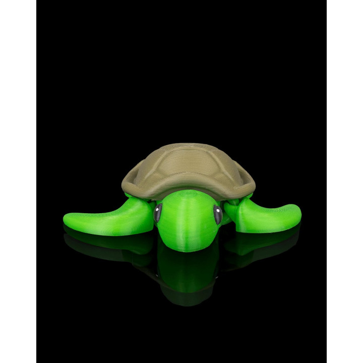 Tortue Zen – Figurine Décorative Avec Décor Corallien