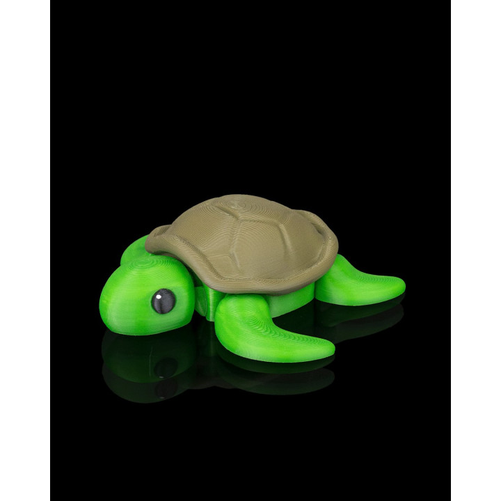 Tortue Zen – Figurine Décorative Avec Décor Corallien