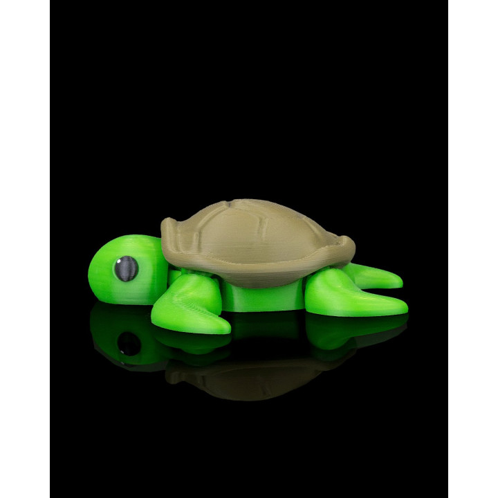 Tortue Zen – Figurine Décorative Avec Décor Corallien