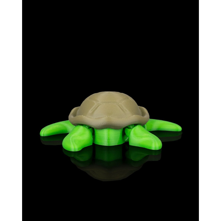 Tortue Zen – Figurine Décorative Avec Décor Corallien