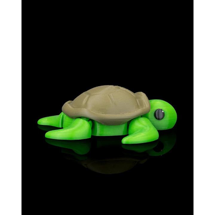 Tortue Zen – Figurine Décorative Avec Décor Corallien