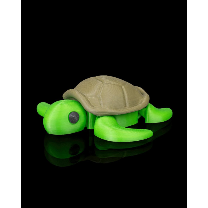 Tortue Zen – Figurine Décorative Avec Décor Corallien