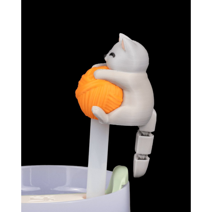 Déco Paille Chat + Charm Gri-Gri Félin – Pawsitively Hydrated