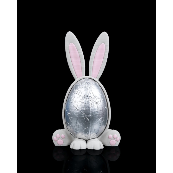 Cadre Lapin De Pâques – Présentoir Œuf Surprise