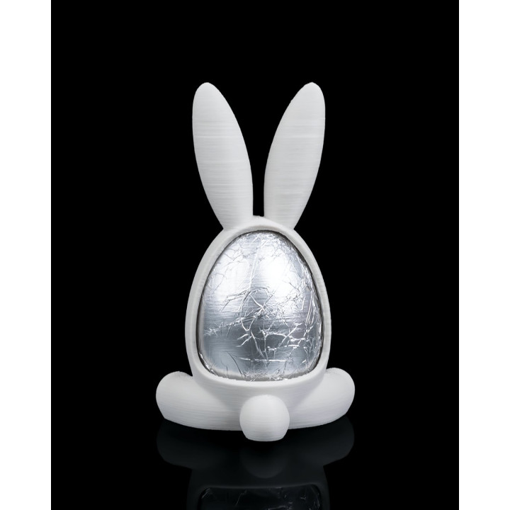 Cadre Lapin De Pâques – Présentoir Œuf Surprise