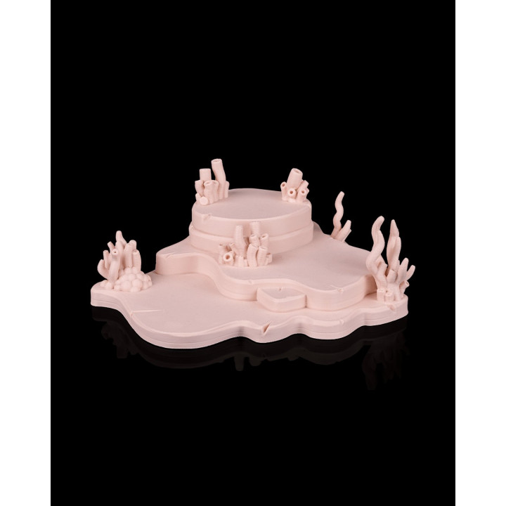 Axolotl Haven – Présentoir Diorama Pour Collection D'Axolotls