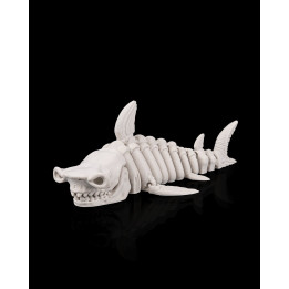 Requin Squelette Articulé – Skeleton Shark