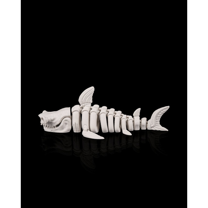 Requin Squelette Articulé – Skeleton Shark