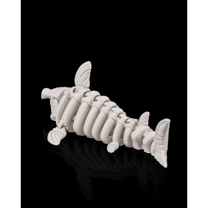 Requin Squelette Articulé – Skeleton Shark