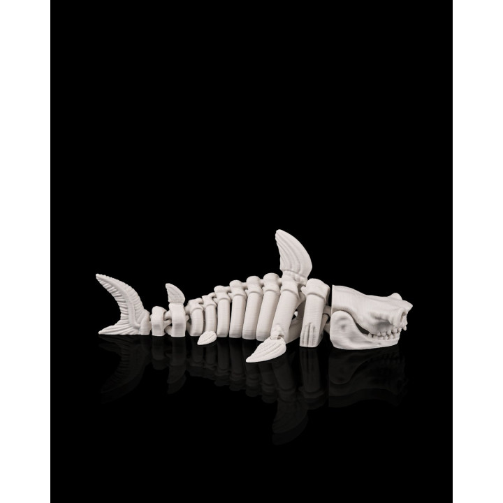 Requin Squelette Articulé – Skeleton Shark