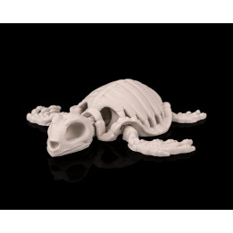 Tortue Squelette – Figurine Décorative Originale