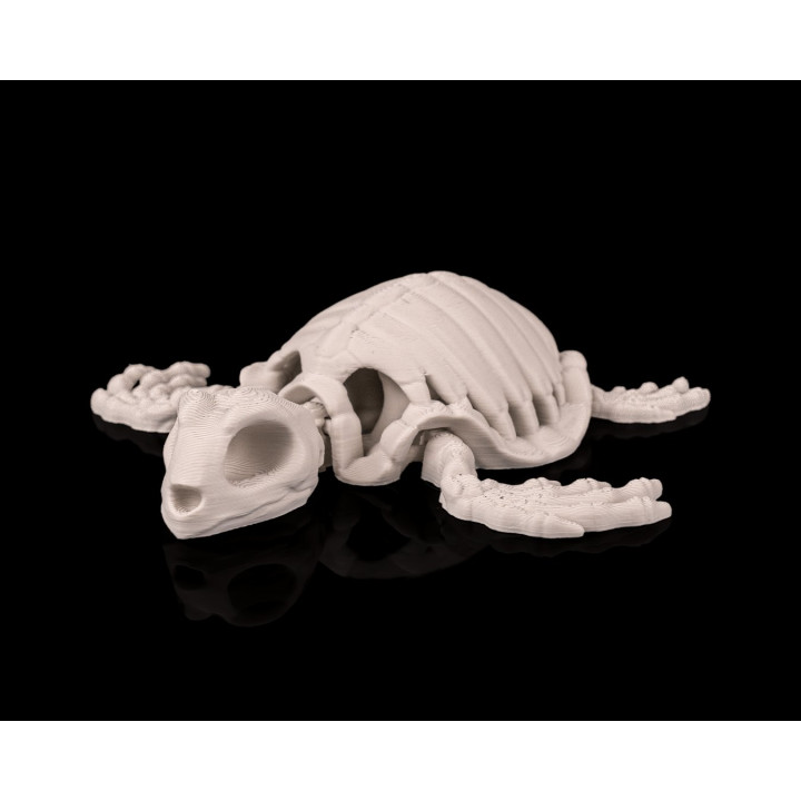 Tortue Squelette – Figurine Décorative Originale