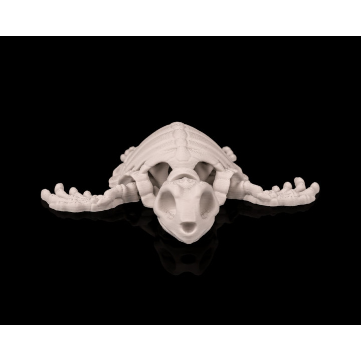 Tortue Squelette – Figurine Décorative Originale
