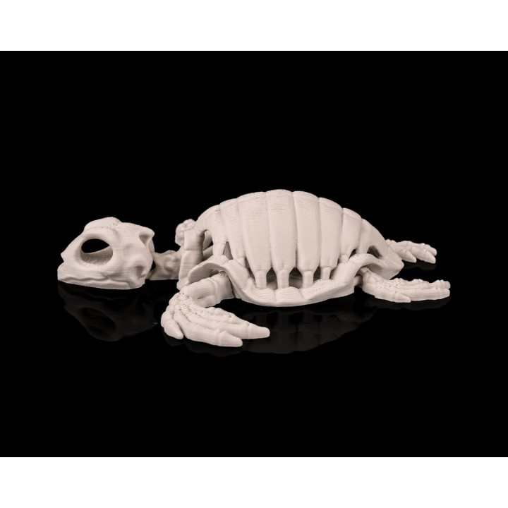 Tortue Squelette – Figurine Décorative Originale