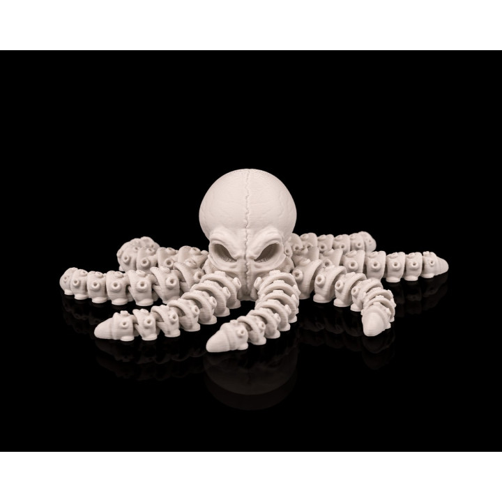 Poulpe Squelette Articulé – Skeleton Octopus