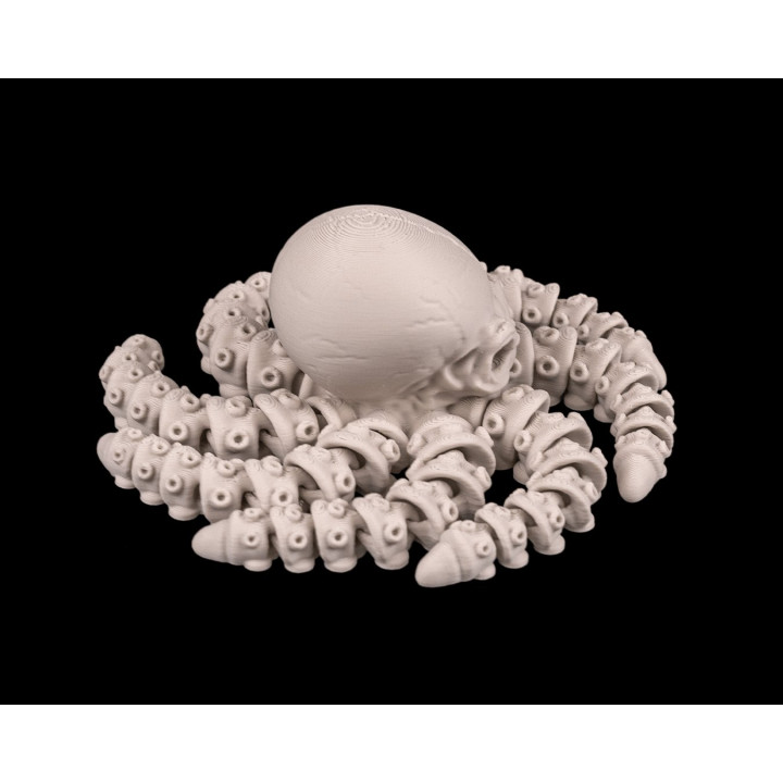 Poulpe Squelette Articulé – Skeleton Octopus