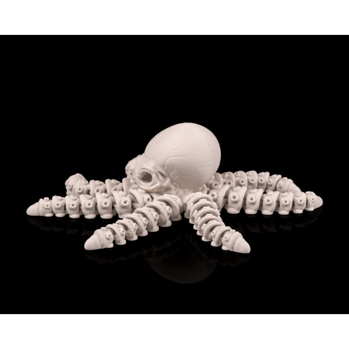 Poulpe Squelette Articulé – Skeleton Octopus