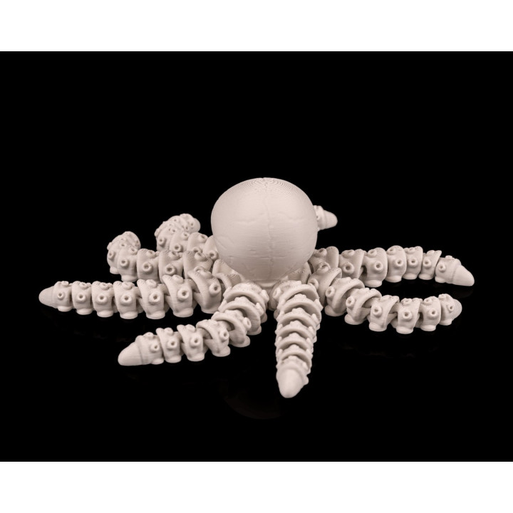 Poulpe Squelette Articulé – Skeleton Octopus