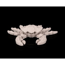 Crabe Squelette – Figurine Décorative Fantastique