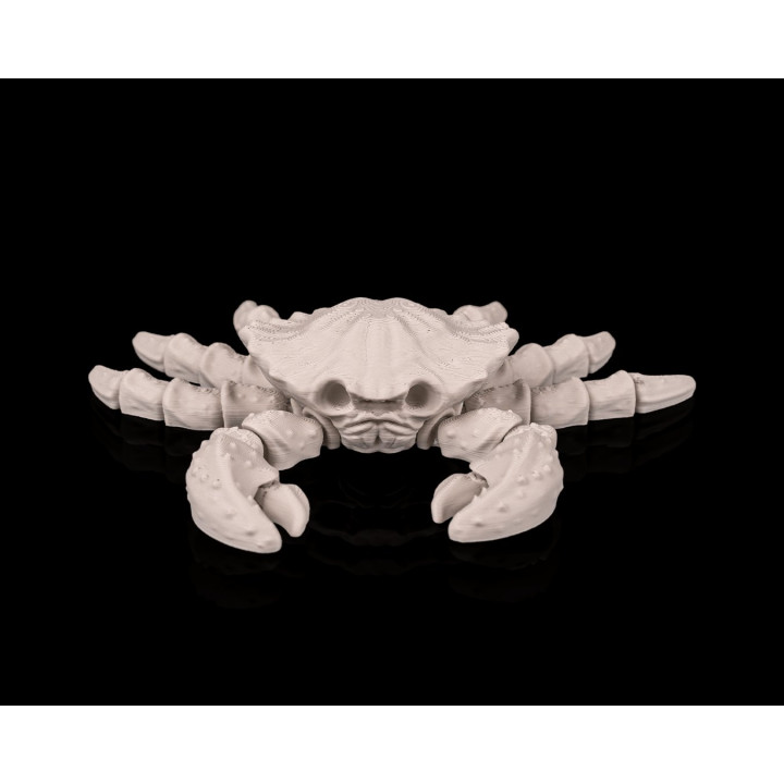 Crabe Squelette – Figurine Décorative Fantastique