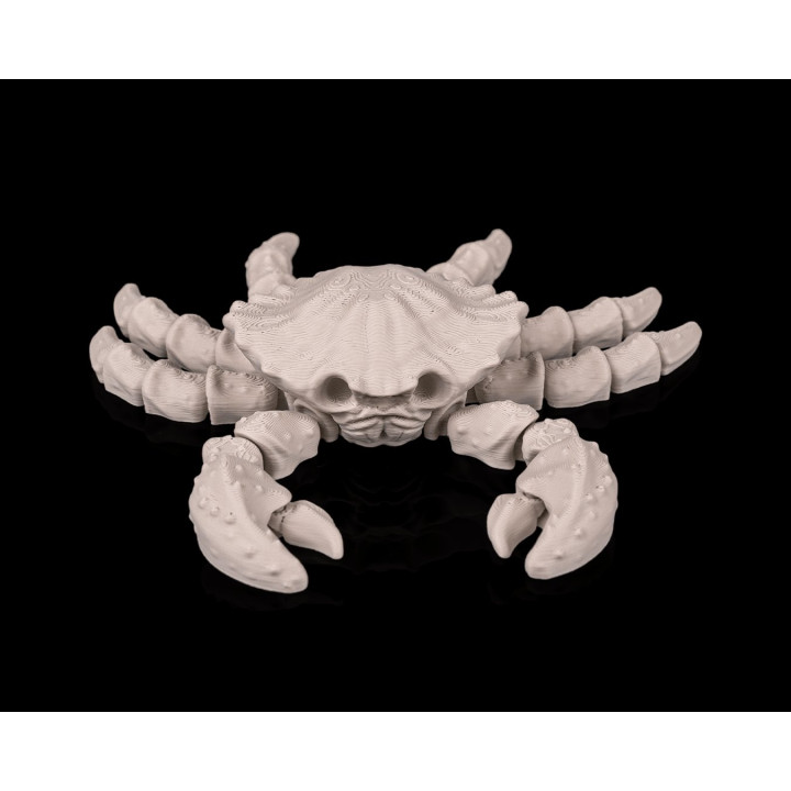 Crabe Squelette – Figurine Décorative Fantastique