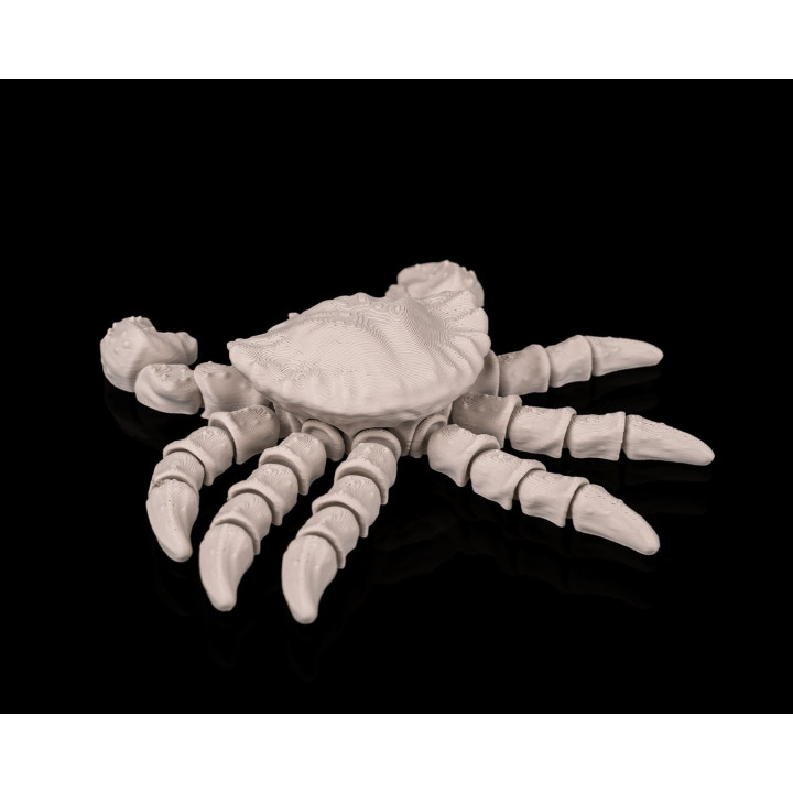 Crabe Squelette – Figurine Décorative Fantastique