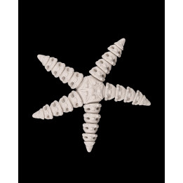 Étoile De Mer Squelette – Figurine Décorative Made In Occitanie
