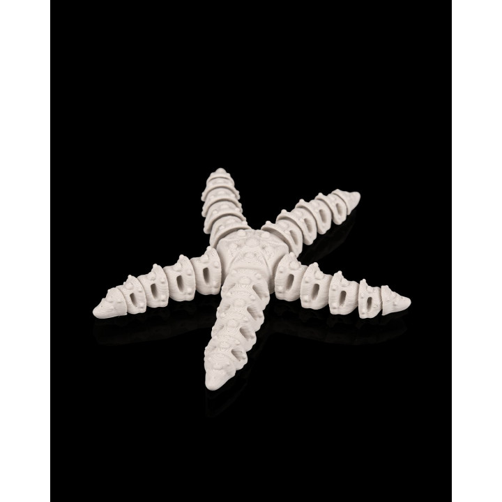 Étoile De Mer Squelette – Figurine Décorative Made In Occitanie