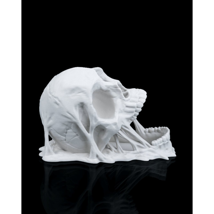 Tour À Dés Doom Skull – Crâne Lanceur De Dés Maléfique