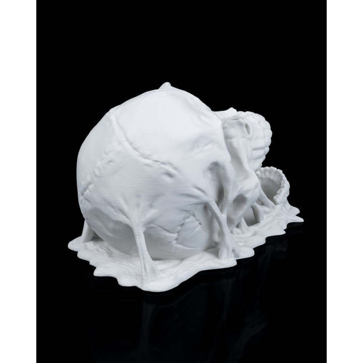Tour À Dés Doom Skull – Crâne Lanceur De Dés Maléfique