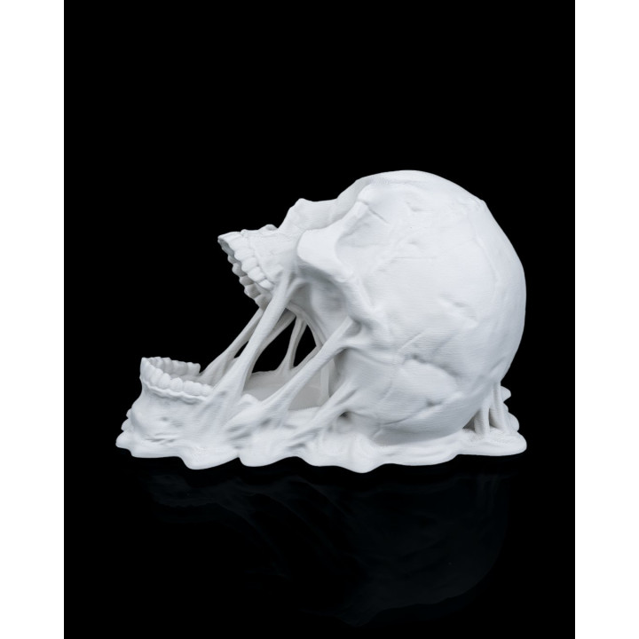 Tour À Dés Doom Skull – Crâne Lanceur De Dés Maléfique