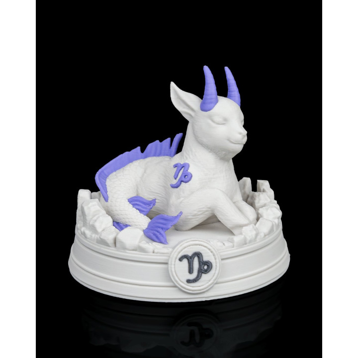 Charm Capricorne – Figurine Zodiaque Magique Avec Socle & Médaillon