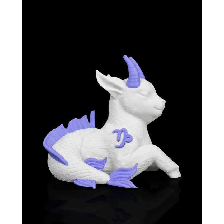 Charm Capricorne – Figurine Zodiaque Magique Avec Socle & Médaillon