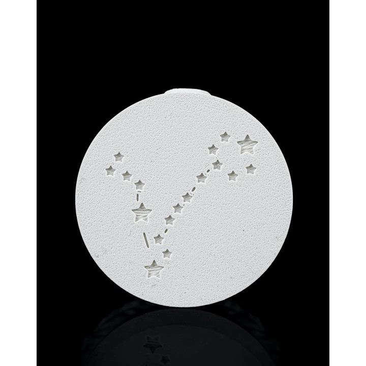 Charm Poissons – Porte-Clés Signe Astrologique Zodiaque
