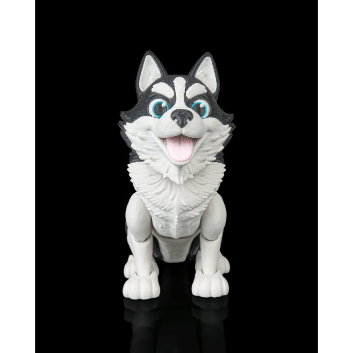Niko Le Husky – Figurine Décorative Bi-Couleur