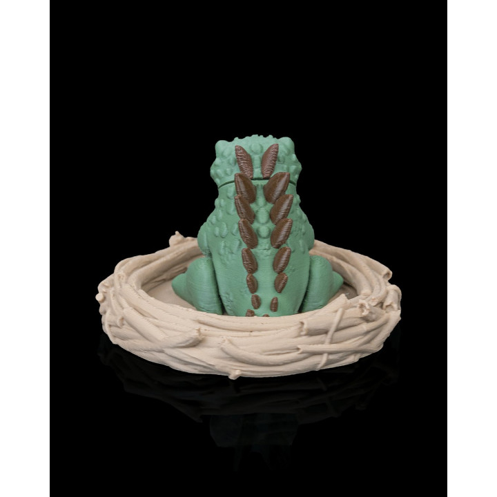 Tiny Stego – Bébé Stégosaure Dans Son Nid & Son Œuf