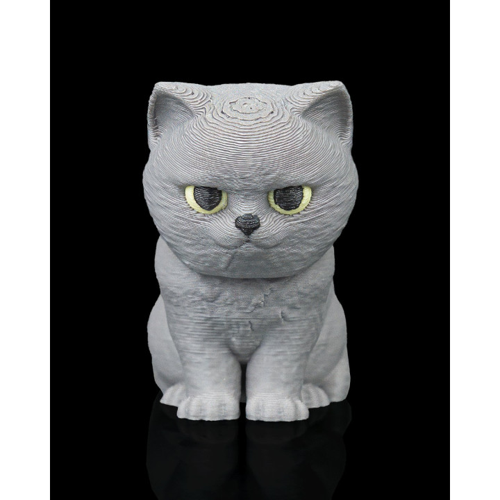 Porte-Clés British Shorthair & Son Sac À Dos – Charm Félins De Caractère