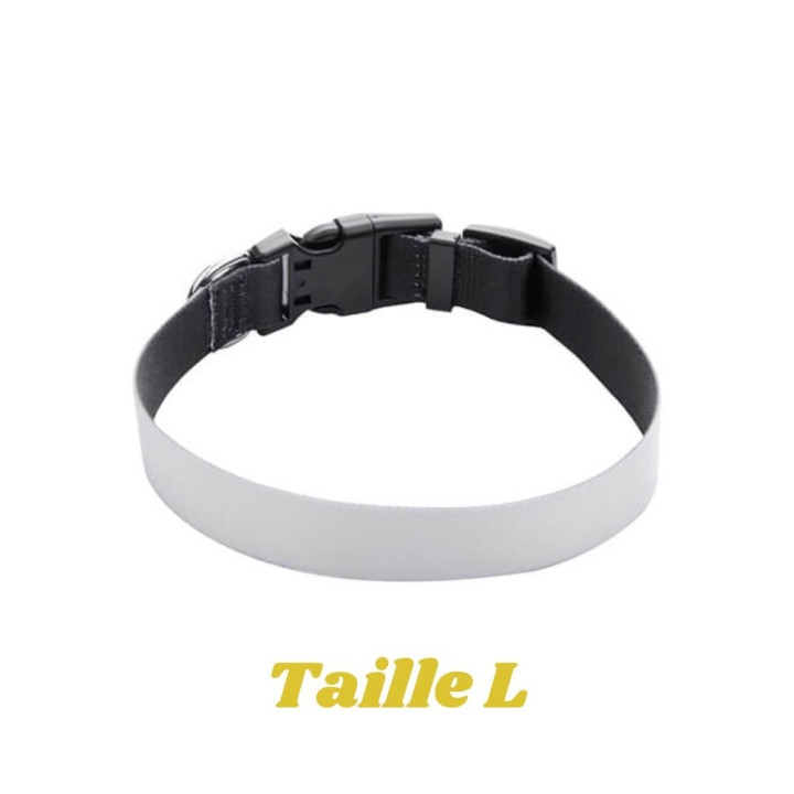 Collier pour chien personnalisé avec votre photo ou design