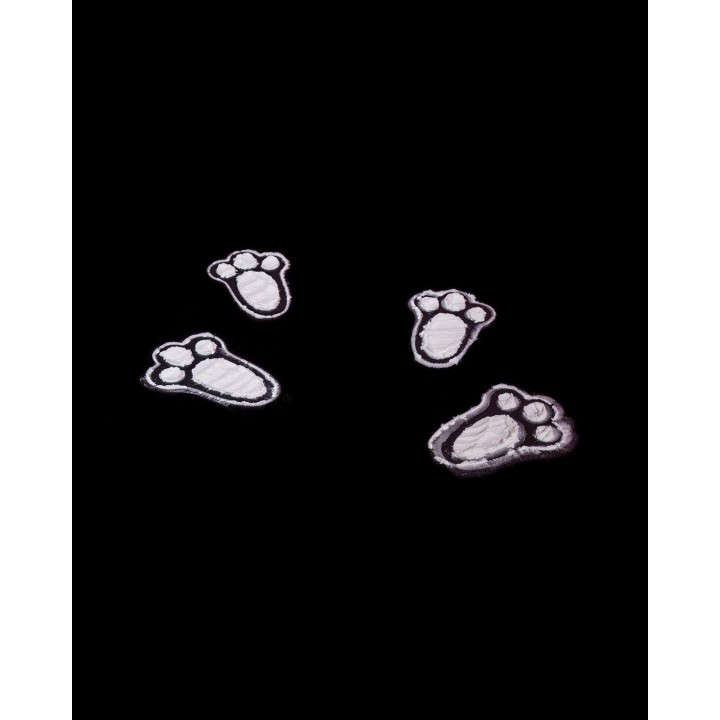 Easter Bunny Footprints