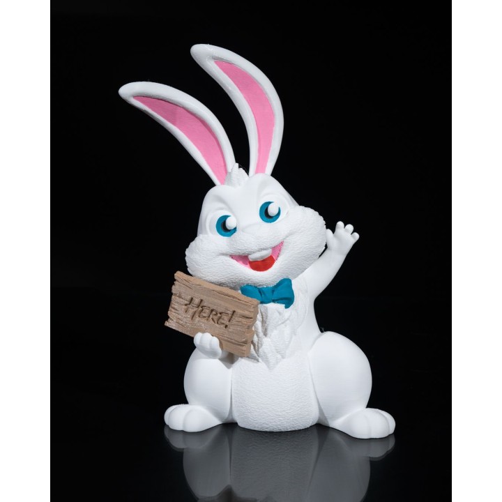 Here! Bunny Sign
