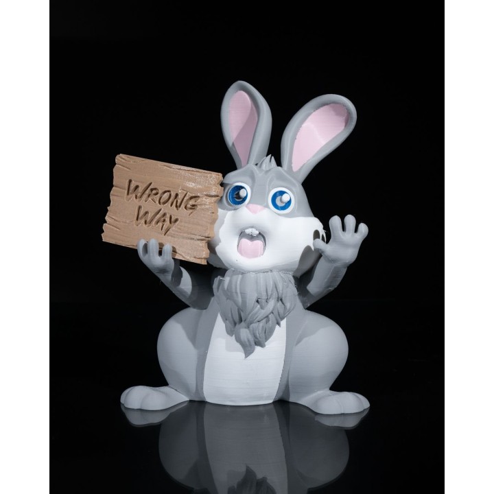 Wrong Way Bunny Sign