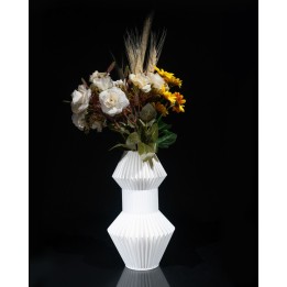 Anter Vase
