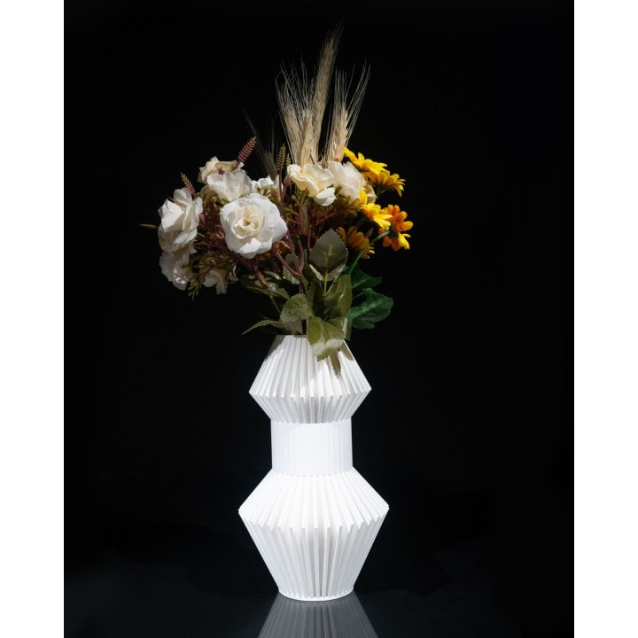 Anter Vase