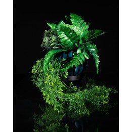 Gervi Planter