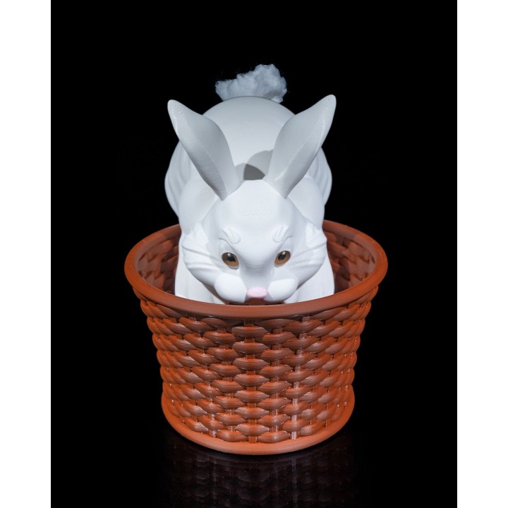 Cottontail Rabbit Basket
