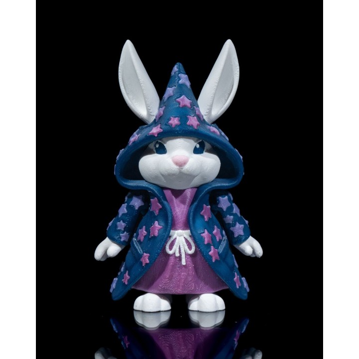 Wizard Bunny