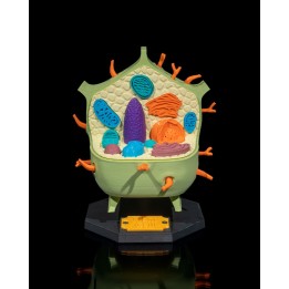 Plant Cell