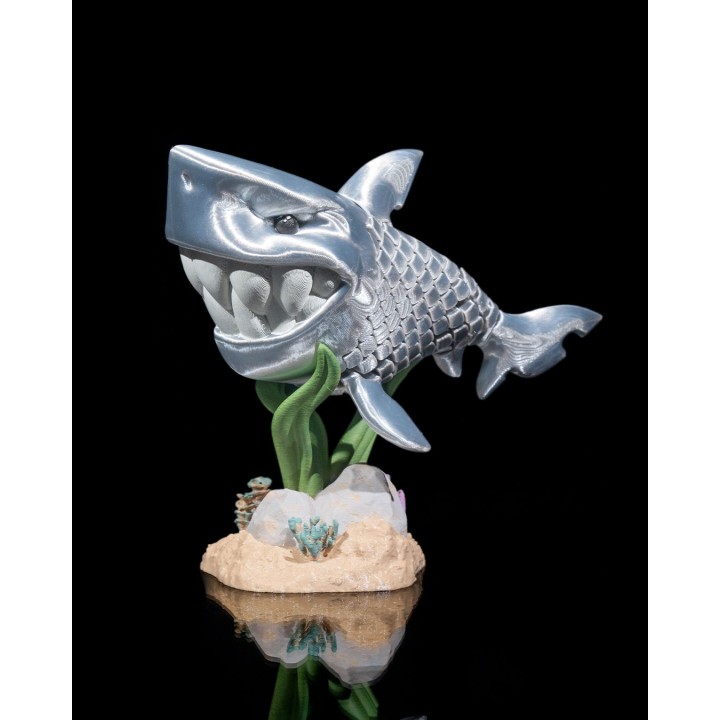 Travis, the White Shark